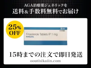 フィンサバ